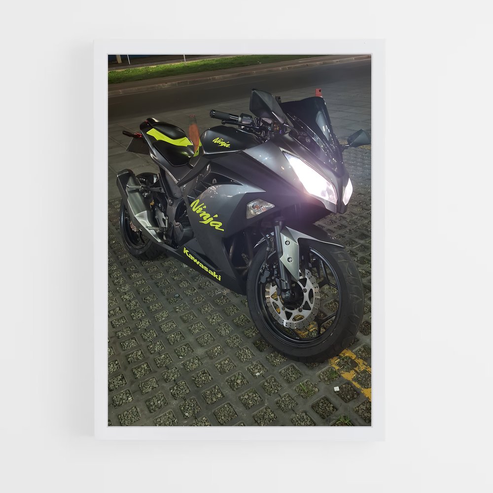 Poster Nuit de Moto (vue 3)